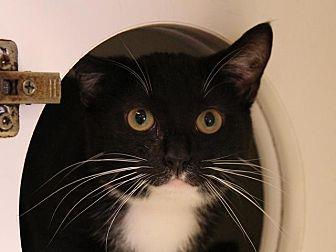 Tux (21100331)