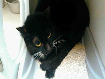 TUX (21120820)