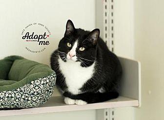 Tuxie (18476842)