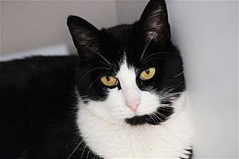 Tuxie (19856658)