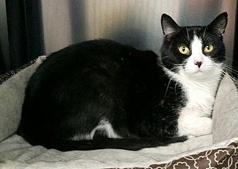 Tytan (19998111)