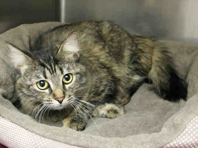 UMA THURMAN (A413801)