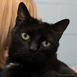 Ursula (20958938)