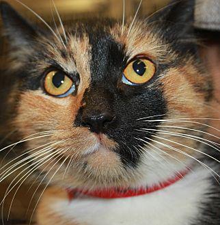 VALENTINA (20716066)