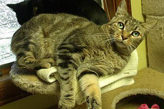 Wallace (21066680)