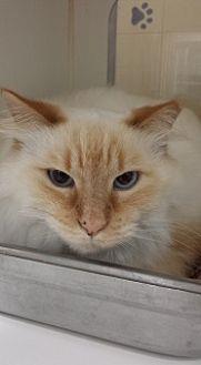 Whitey 11313 (21027450)