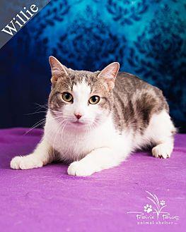 Willie *Fee (20779664)