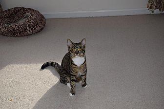 Willow (20683463)