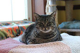 Willy (10029634)