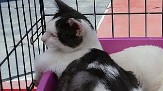 Wilma (19048994)
