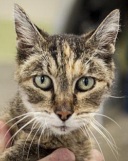 Winifred (20834799)