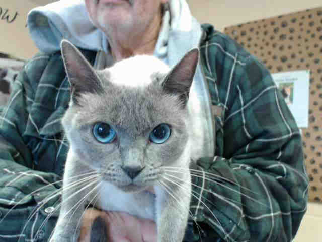 WINK (A014879)