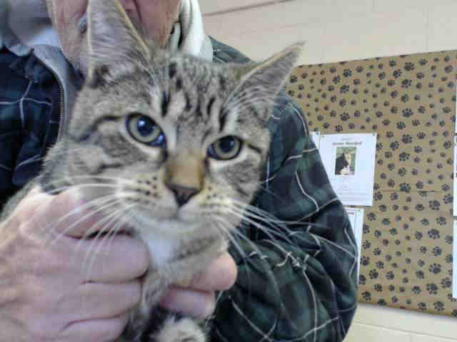 WINKYDINK (A014881)