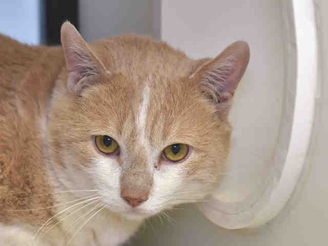 XANDER (A1074386)