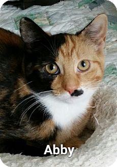 Abby (16283195)