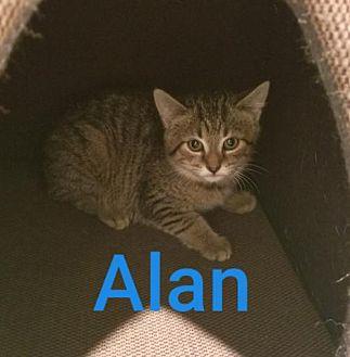 Alan (21591924)