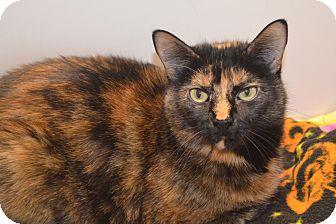Almond Joy (12139158)