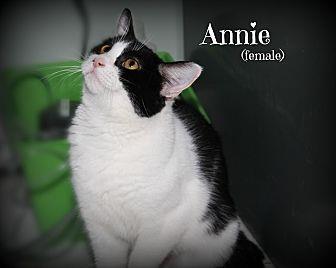 Annie (21068167)