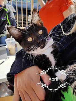 April (21570170)