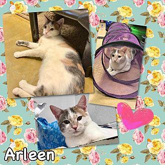 Arleen (20593782)