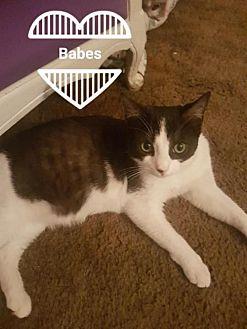 Babes (21404457)