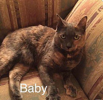 Baby (21342539)
