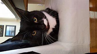 Baby (Bonded (21092388)