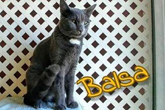 Balsa (14999817)