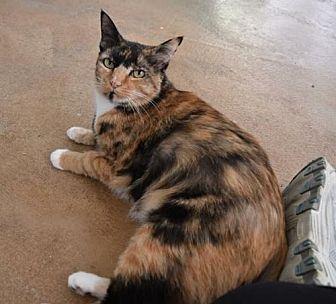 Bella 2012 (17436900)