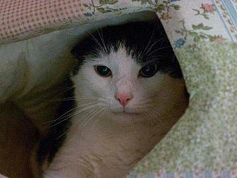 Ben (19954514)