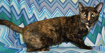 Bernice (20962231)