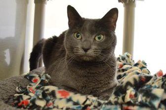 Betty (21506655)