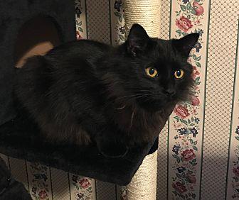 Blackie (20879040)