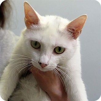 Blanche (18146825)
