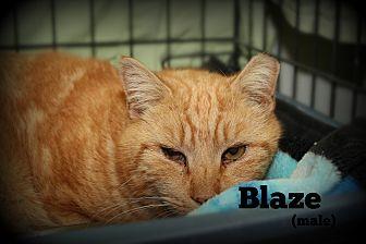 Blaze (20887336)