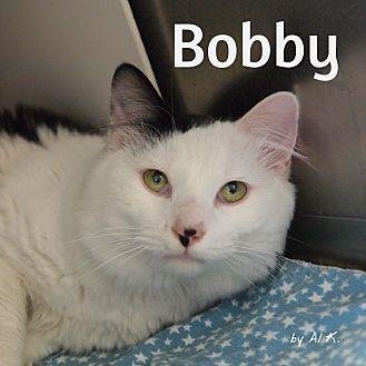 Bobby (21523618)