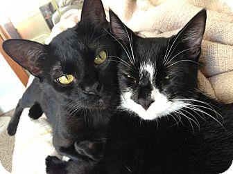 BONDED PAIR/ (14905166)