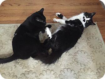 Bonded PAIR/ (15084033)