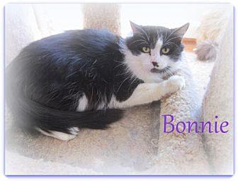 Bonnie (16615019)