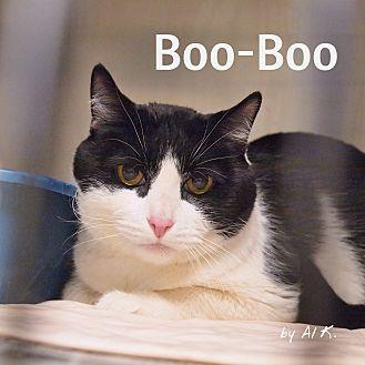 Boo-Boo (21540057)