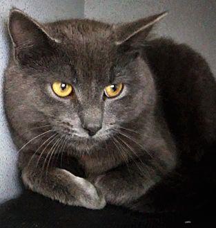 Bruce (21362622)