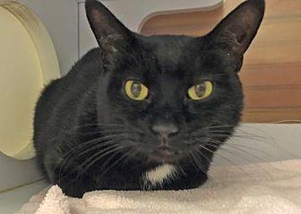 Buddy (21449791)