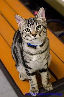 Buddy (21604931)