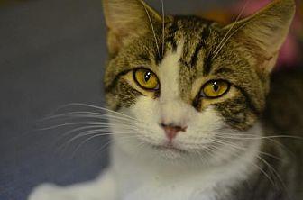 Buster (20937355)