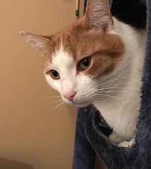 Caleb (21323939)