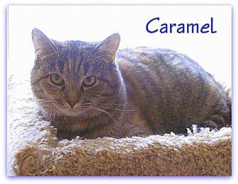 Caramel (16615013)