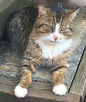Carl (21359220)