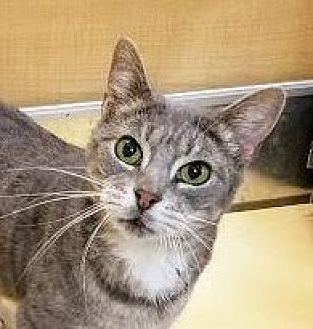 Carmella (21429461)