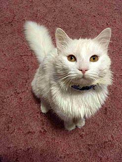 Casper (21215591)
