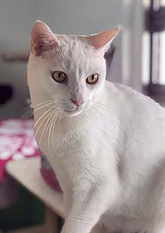 Casper (21504975)